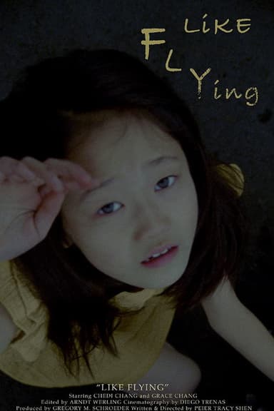 Like Flying poster