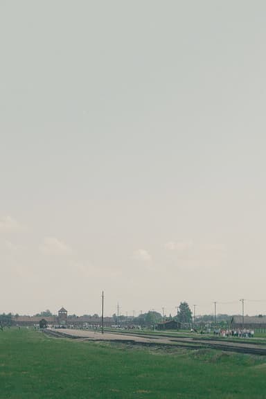 La Visite poster