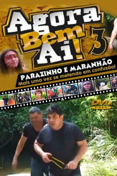 Agora Bem Ai! 3 poster