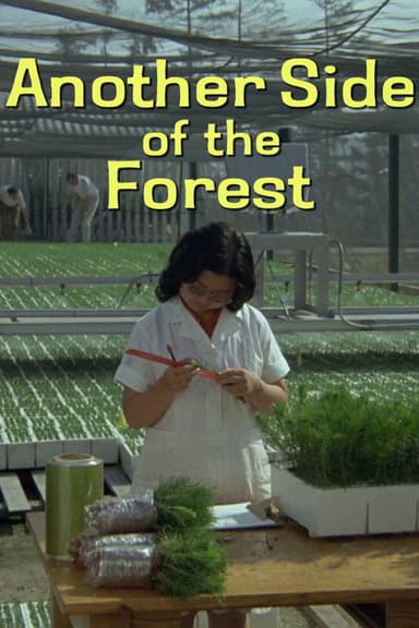 Another Side of the Forest poster