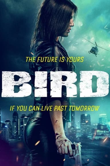 Bird poster