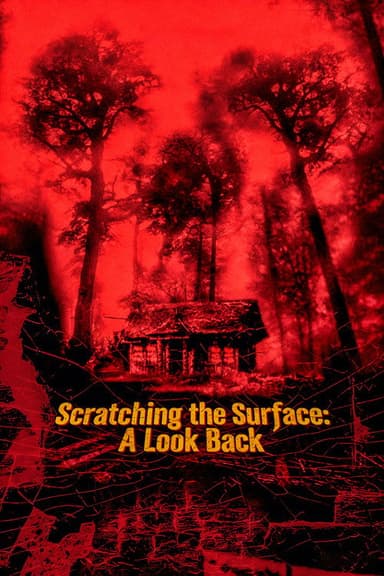 Scratching the Surface: A Look Back poster