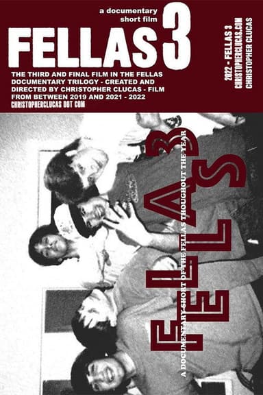 Fellas 3 poster