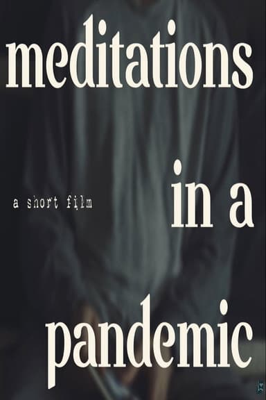 Meditations In A Pandemic poster