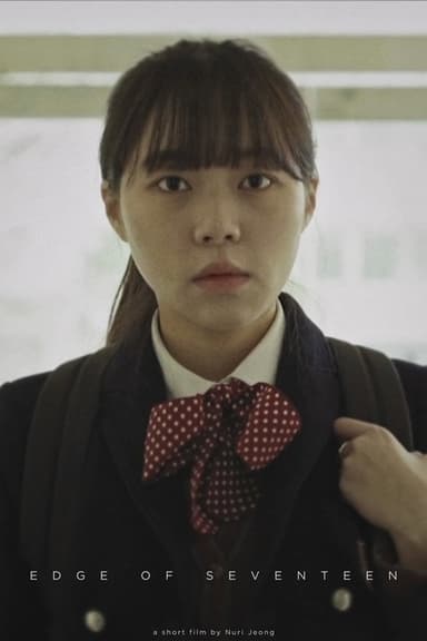 Edge of Seventeen poster