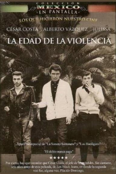 The Age of Violence poster
