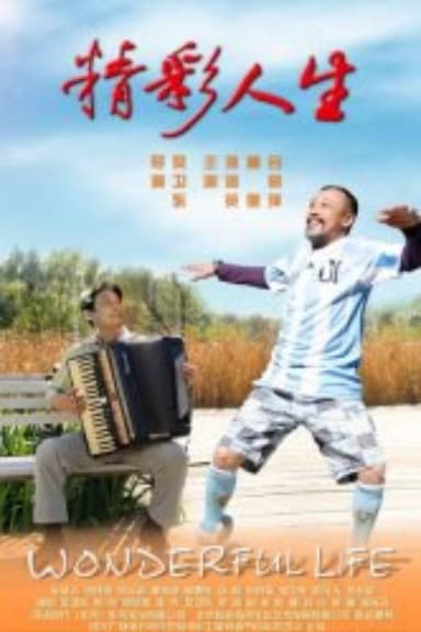 精彩人生 poster