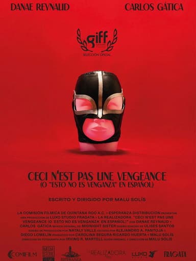 This Is Not Revenge poster