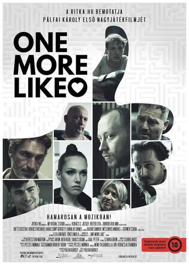 One More Like poster