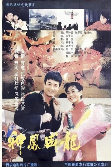 神凤威龙 poster