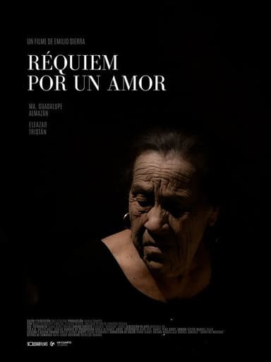 Requiem For A Love poster
