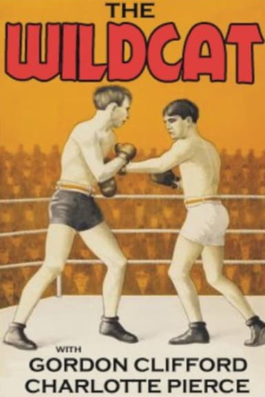 The Wildcat poster