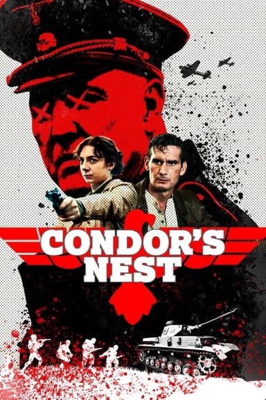 Condor's Nest poster