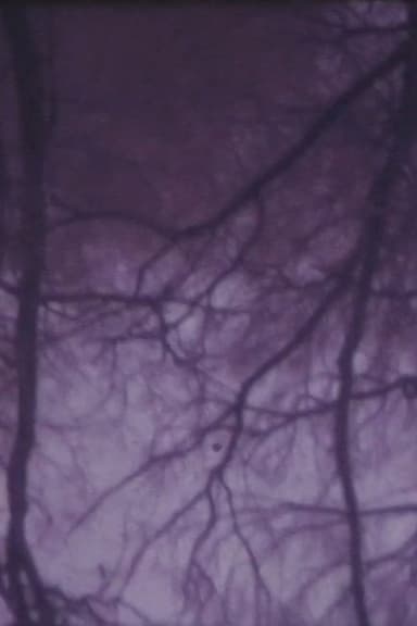 The Burning Tree poster