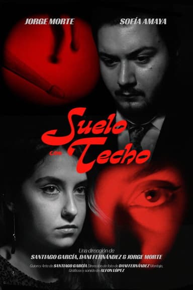 Suelo con techo poster