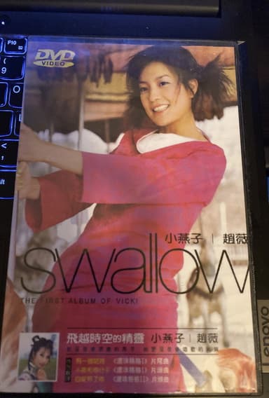 Swallow poster