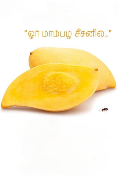 Or Mambala Seasonil poster