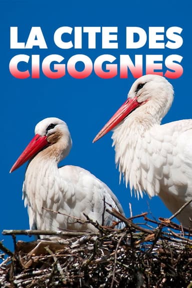 Klappern gehört zum Geschäft: Europas größtes Storchendorf poster