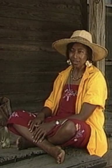 Visions of the Spirit: A Portrait of Alice Walker poster