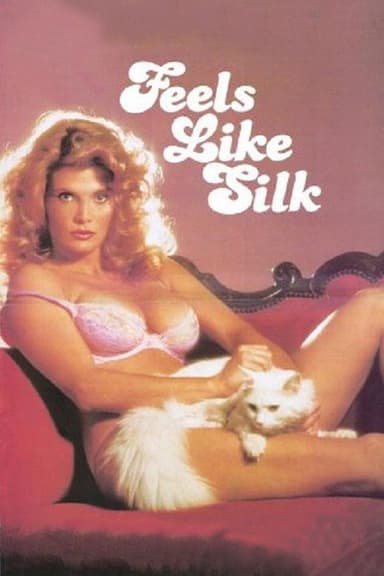Feels Like Silk poster