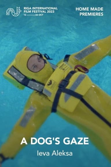 Dog's Gaze poster