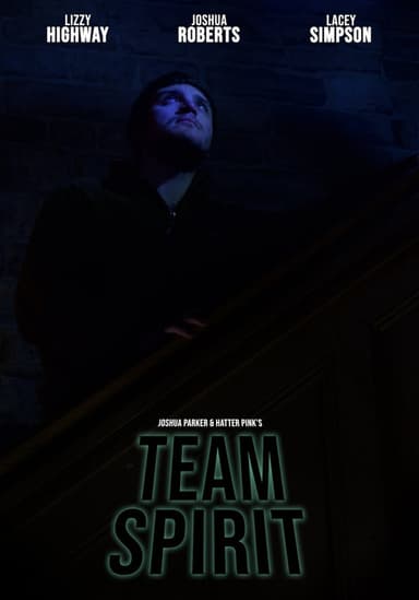 Team Spirit poster