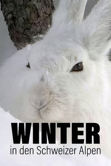 Winter in den Schweizer Alpen poster
