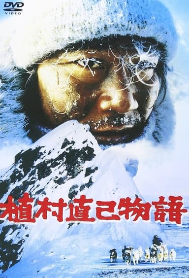 Lost in the Wilderness poster