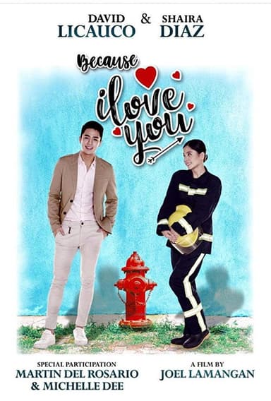 Because I Love You poster