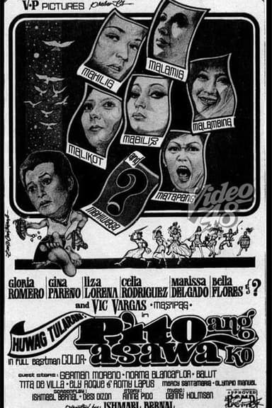 Bad Example: I Have Seven Wives poster