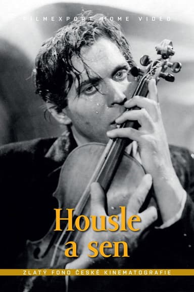 Housle a sen poster