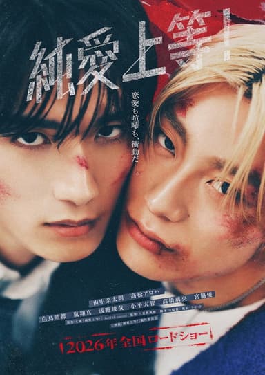 Love Punch! poster