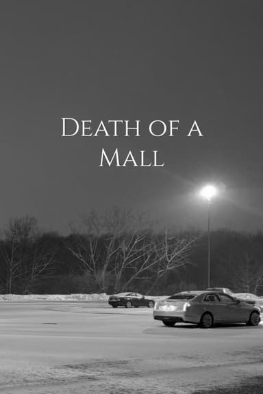 Death of a Mall poster