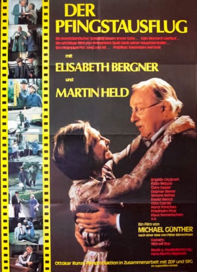 Der Pfingstausflug poster