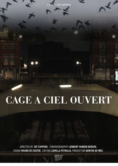 Cage À Ciel Ouvert poster