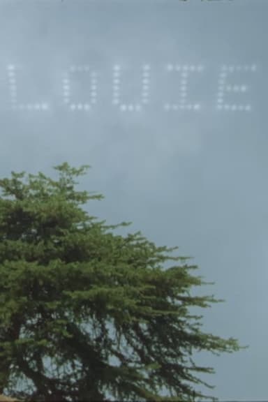 LOUIE 003 poster