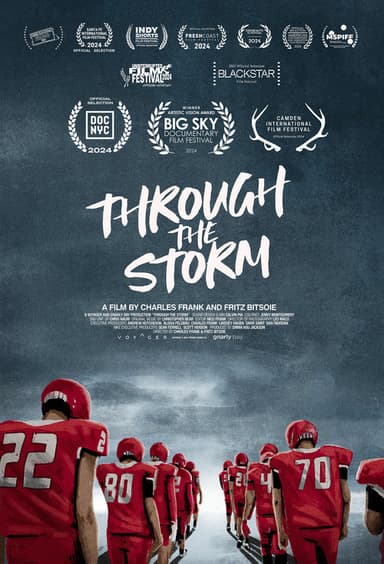 Through the Storm poster