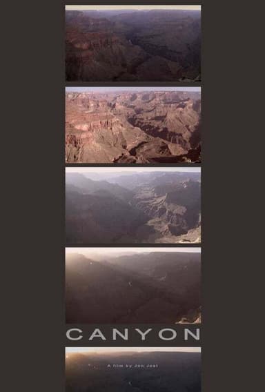 Canyon II poster