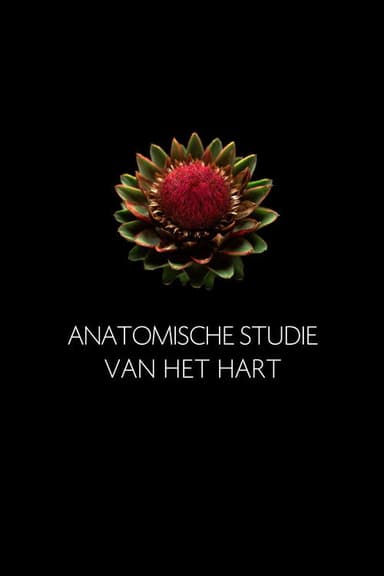 Anatomische Studie van het Hart poster