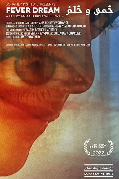 Fever Dream poster