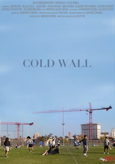 Cold Wall poster