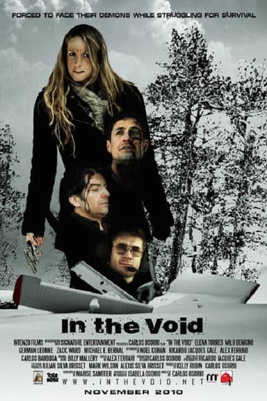 In the Void poster