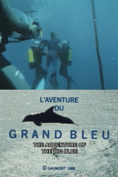 The Big Blue Adventure poster