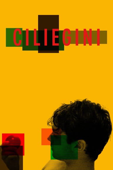 Ciliegini poster