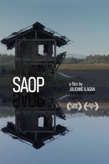 Saop poster