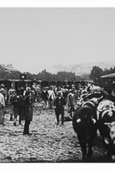 Marché aux boeufs, I poster