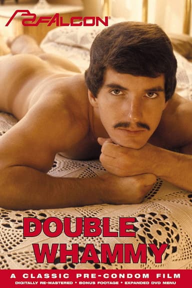 Double Whammy poster