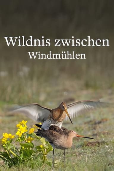 Wildlife in Windmill Country poster