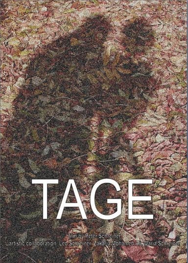 Days poster