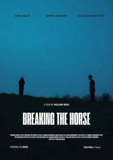 Breaking the Horse poster